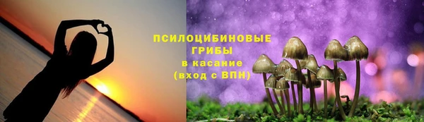 apvp Алексеевка
